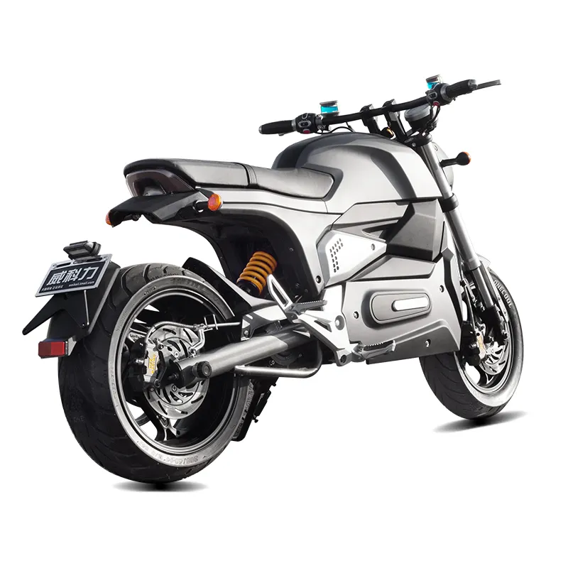 M6 뜨거운 판매 2024 전기 오토바이 Tianneng 72v40ah 인증서 EEC 전기 자전거 전기 오토바이