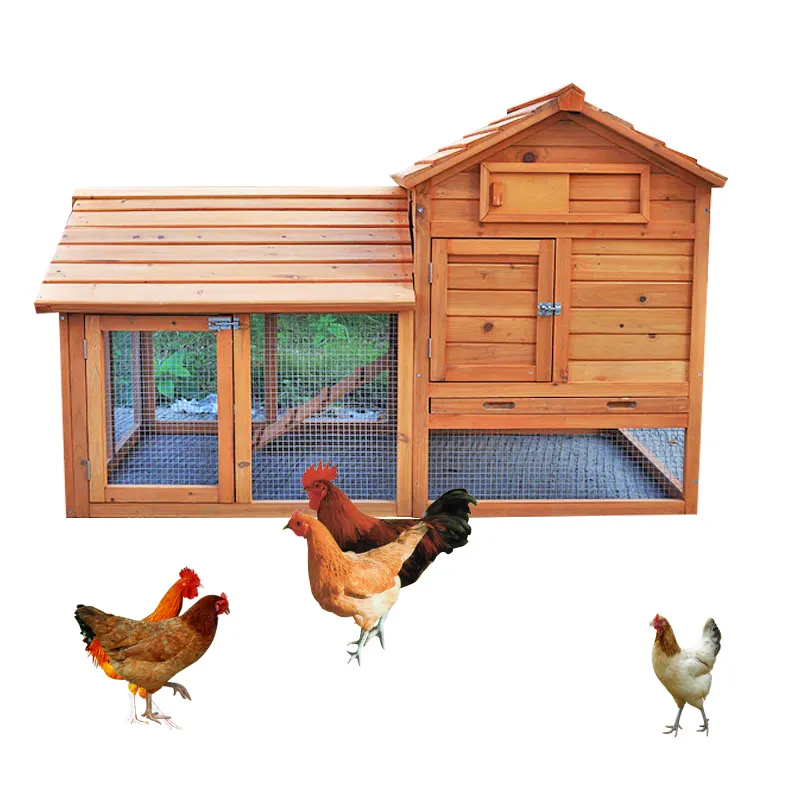 2024 nuovo arrivo Pet House all'aperto grande gabbia di pollo in legno per gallo