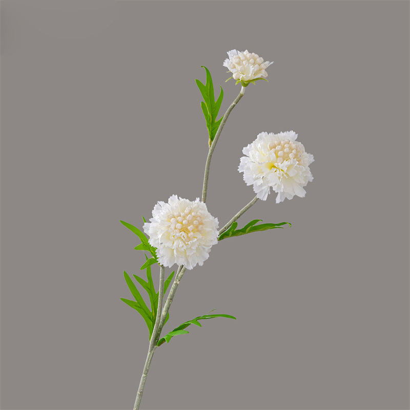 Blanc