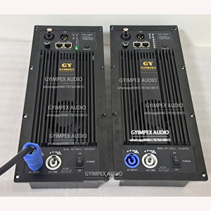 DSP FIR 800w 300w moduli amplificatori digitali ad alta potenza DSP modulo amplificatore con piastra amplificatore abete germania - Product Image 1