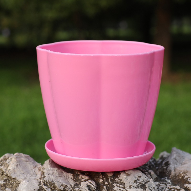 Pot à pétales épais : plateau rose