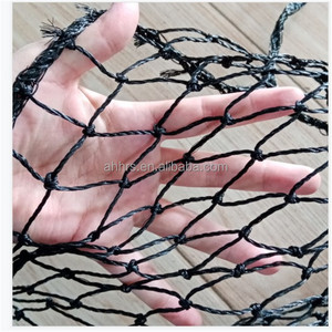結び目PEプラスチック鶏フェンスネット家禽/鳥ネット果樹園用 - Product Image 1