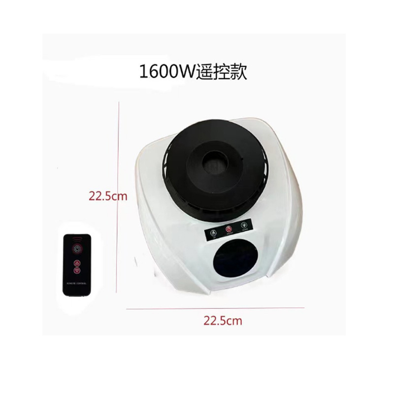 1200W Remote Control Model