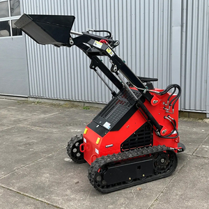 Mini 380kg Diesel cingolato con Skid Steer Drive 5 Ton carico nominale agricolo ruota attacco caricatore anteriore pompa secchio - Product Image 2
