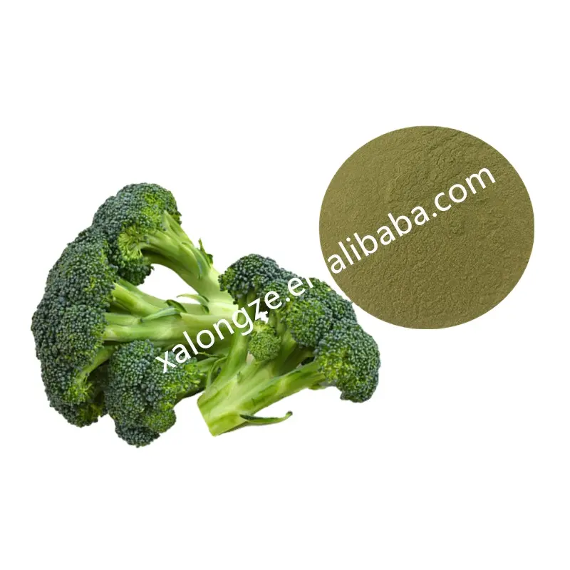 Estratto di Broccoli in polvere di germogli di Broccoli liofilizzati essiccati a spruzzo di alta qualità estratto di Broccoli puro sfuso