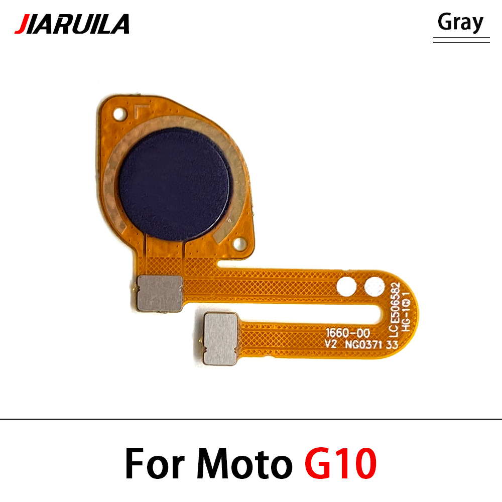 Gris G10