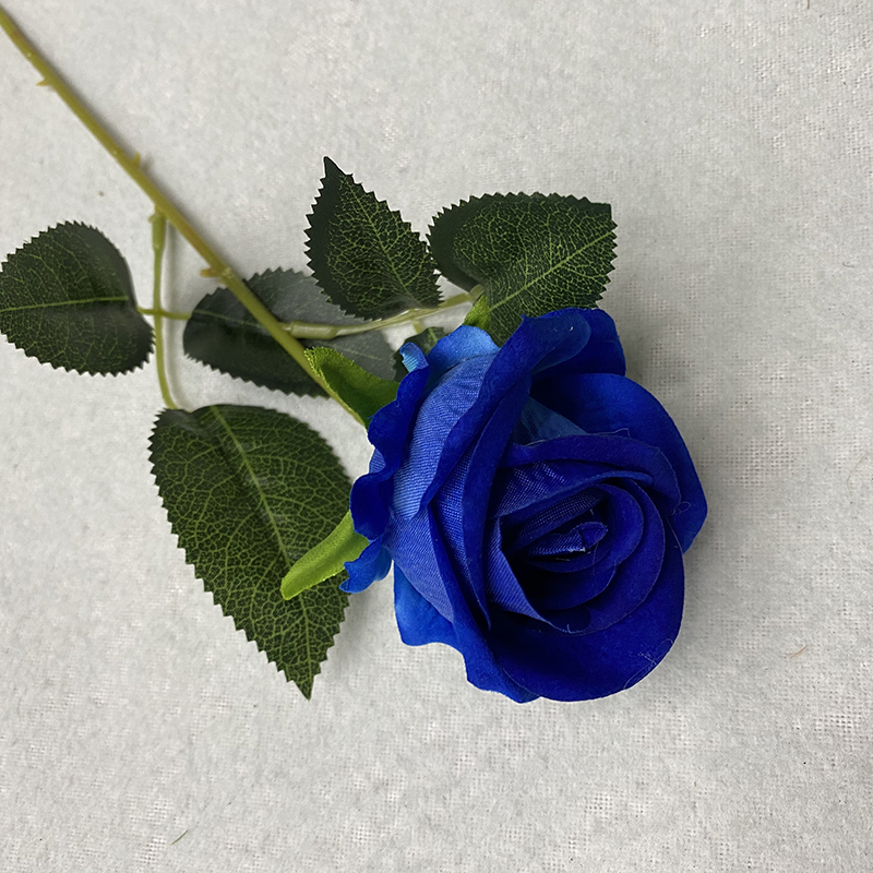 Blue4