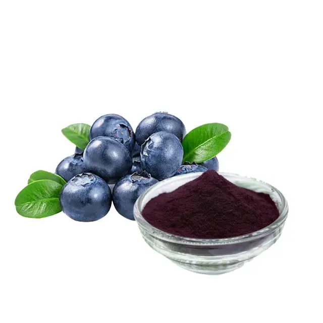 천연 순수 고품질 블루베리 추출물 분말 25% 안토시아닌