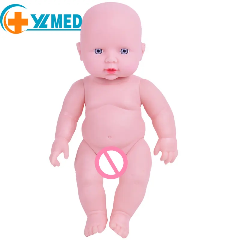 Los juguetes para bebés con pegamento suave de ciencia médica se pueden utilizar para modelos de simulación de experimentos médicos obstetras