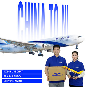 Profissional FCL Menos Que Carga De Contêiner (LCL) Agente De Freight Forwarding Da China para Holanda EUA Agência De Logística