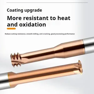Direct Manufacturer Concrete Milling <strong>Cutter</strong> M1.2 M1.6 M2 M2.5 M3 M4 M5 M6 M8 <strong>M10</strong> M12 Multi-Flute End Mill - Product Image 2