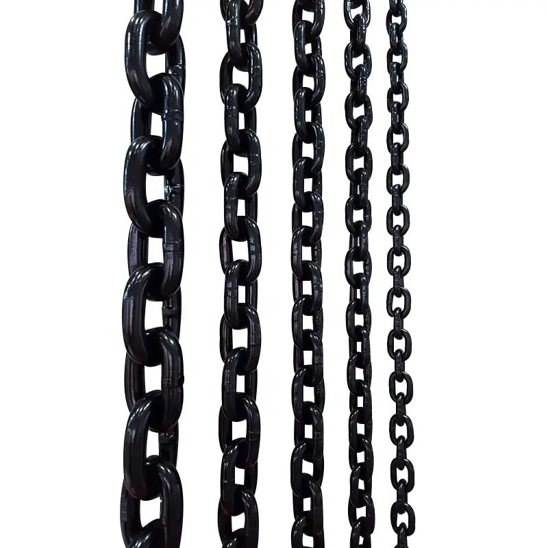 C2052 cadena de rodillos de acero inoxidable cadena transportadora de acero inoxidable
