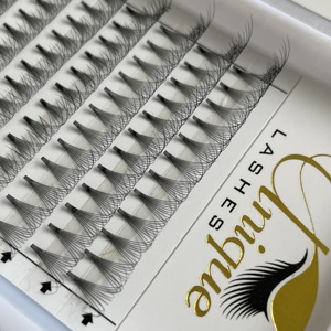 Wholesale Price Volume Eyelashes Own Brand <strong>Lashes</strong> 2d 3d 4d 5d 6d J B C D Premade Fans 0.07 0.10 - Product Image 5