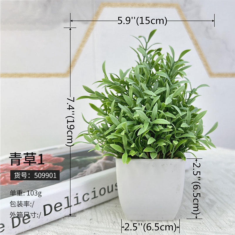 509901 herbe 1 (à partir de 125 pots)