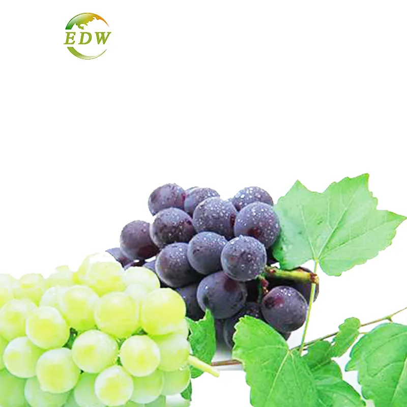 Fornitura di fabbrica capsula organica 95% OPCS estratto di semi d'uva in polvere di antociani puri per la cura della pelle