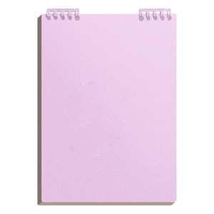Factory Direct Sales Support Custom LOGO Coil <strong>Notebook</strong> Student Office Use Coil <strong>Notebook</strong> Spiral Bound <strong>Notebook</strong> - Product Image 2