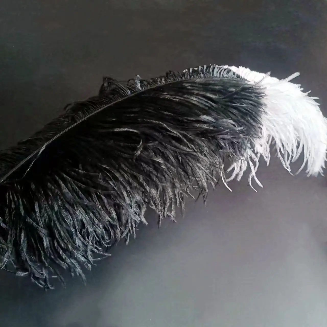 Carnival material Tipped 70-75cm Two tone customized colors ostrich feather wing feathers For Wedding festival samba costume