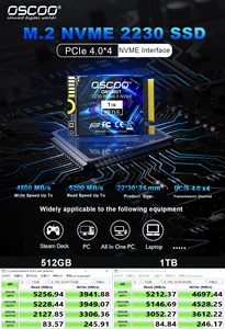 OSCOO 2230 PCIe3 NVMe 1.4 SSD 1TB 512GB Hard Drive with Single Side for Steamdeck with <strong>Excellent</strong> Performance - Product Image 4