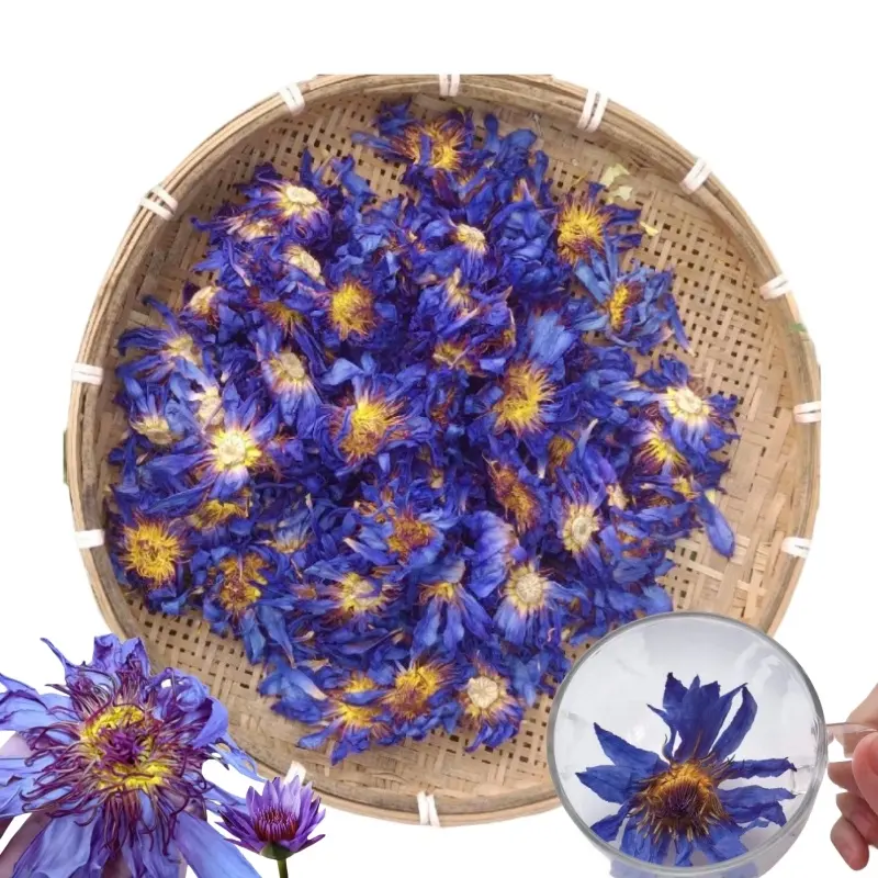 1 kg Té de hierbas saludable fumar en seco Flores en flor té de Loto Azul Venta al por mayor té de Flor de Loto Azul seco