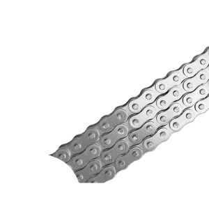 Yüksek kalite özelleştirilmiş SS304 plaka naylon silindir içi boş Pin konveyör zinciri 10B 12B 16B iletim kullanımı için - Product Image 4