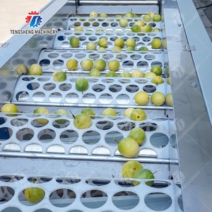 自动棕榈日期清洗抛光干燥分选生产线带气泡清洗机 - Product Image 2