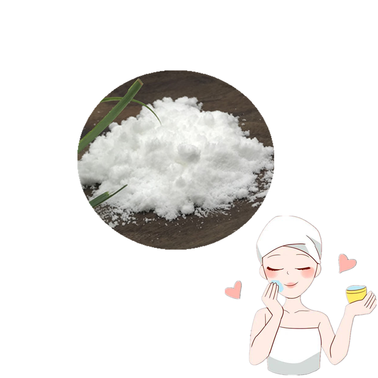 SLS Lauryl SDS Sodium Dodecyl Sulfate K12 Needle And Powder 0