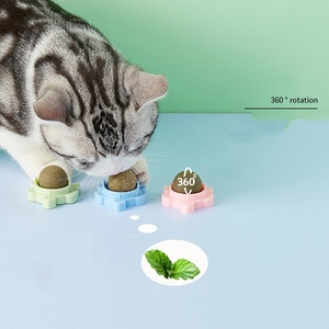 Encantadora tortuga Caracol diseño interactivo pared bola gato juguete seguro para gatos con hierba gatera sostenible menta lechón - Product Image 1