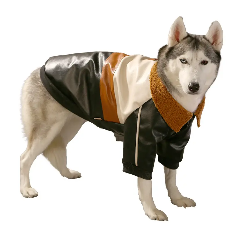 Cappotto in pelle per cani di grossa taglia Golden Retriever Border Collie vestiti per cani di grandi dimensioni autunno inverno caldo abbigliamento a due zampe giacca per animali domestici