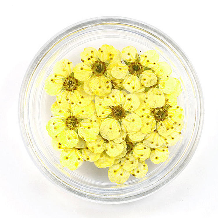 Yellow 100pcs/box