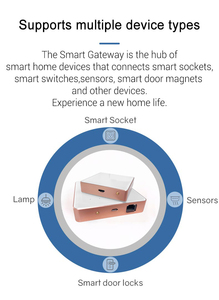 Многофункциональный шлюз LifeLibero ZigBee Tuya с высоким коэффициентом усиления Lorawan шлюз WAN 10/100 м Ethernet порт Mini 3 в 1 - Product Image 2