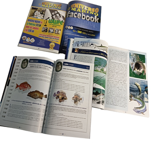 Cheap Price Universo Marino Magazine Paperback Softcover <strong>Book</strong> Custom Printing Services - Product Image 5
