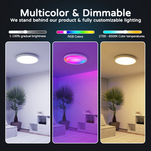 CE 18 18W 24W 30W 48W akıllı RGBCW tavan işık WiFi Bluetooth APP uzaktan kumanda Alexa Alice ses kontrolü LED tavan işıkları - Product Image 3