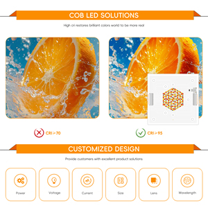 מודול <span class=keywords><strong>LED</strong></span> <span class=keywords><strong>COB</strong></span> פרימיום עוצמתי 260W, זווית אלומה 120 מעלות, 34-37V, שבבי R35 RGBCW, אור לבן קר/חם, תאורת במה - Product Image 4