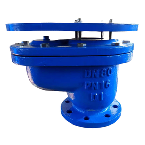 组合放气阀DN50 2螺纹法兰连接组合放气阀 - Product Image 5