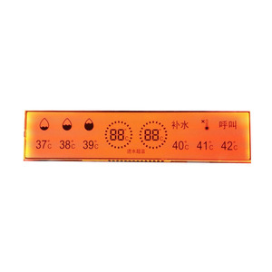 Prezzo competitivo 7 segmenti sfondo verde Mono colore FSTN schermo LCD
