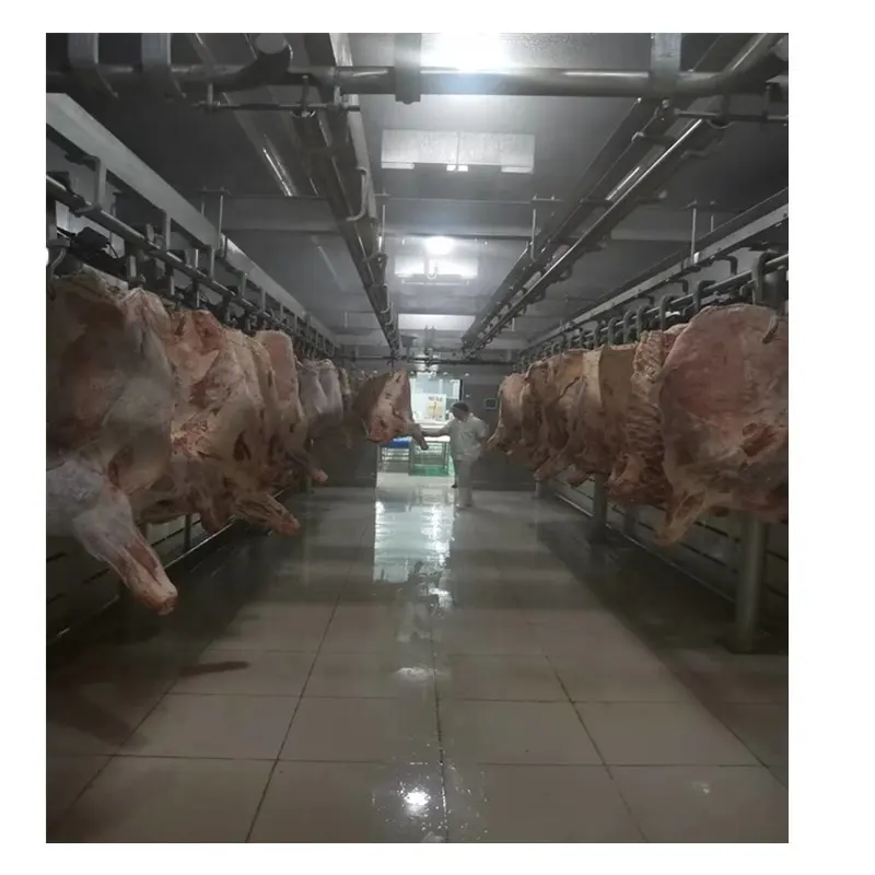 HENGER-máquina de descongelación de carne de ternera, 6T, procesamiento de carne, pollo, cerdo, pato, 100 ~ 500 kg/h, 1 juego económico