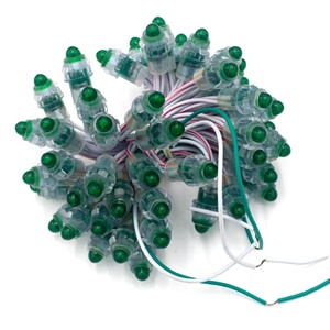 Hot Selling Dc12v 12mm Ip68 Waterproof <strong>Led</strong> Holiday Lights <strong>Led</strong> Single Color <strong>Pixel</strong> <strong>Node</strong> <strong>Led</strong> <strong>Module</strong> <strong>Led</strong> Light <strong>String</strong> - Product Image 5