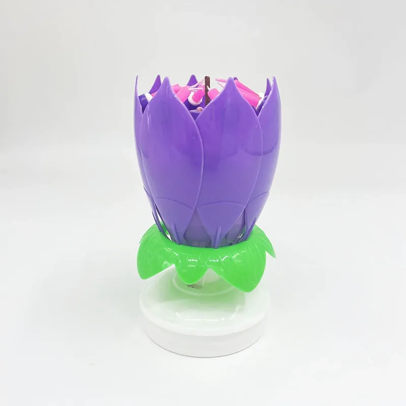 Pourpre