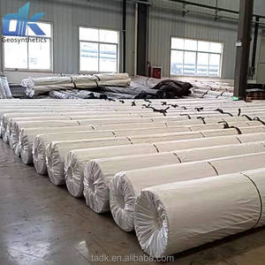 แผ่นบุเขื่อน HDPE ในอ่างเก็บน้ำน้ำเคนยาเพื่อการชลประทาน - Product Image 5