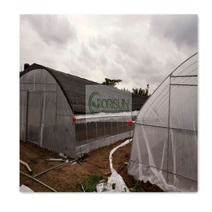 Single Slope Garden Erwärmung Farm Container Hydro ponic Growing Garden Holz Kunststoff Hardware Gewächshaus für Afrika