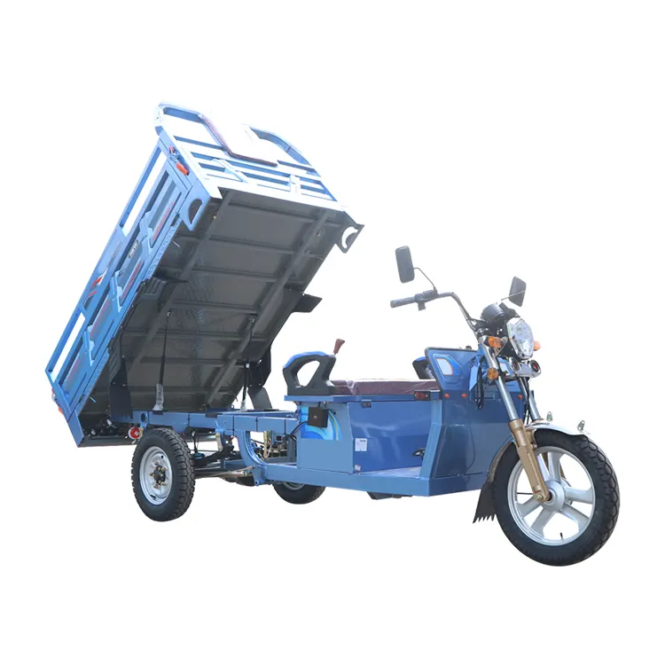 Hot sale family electric cargo bike tricycle price 3 wheel motorcycle