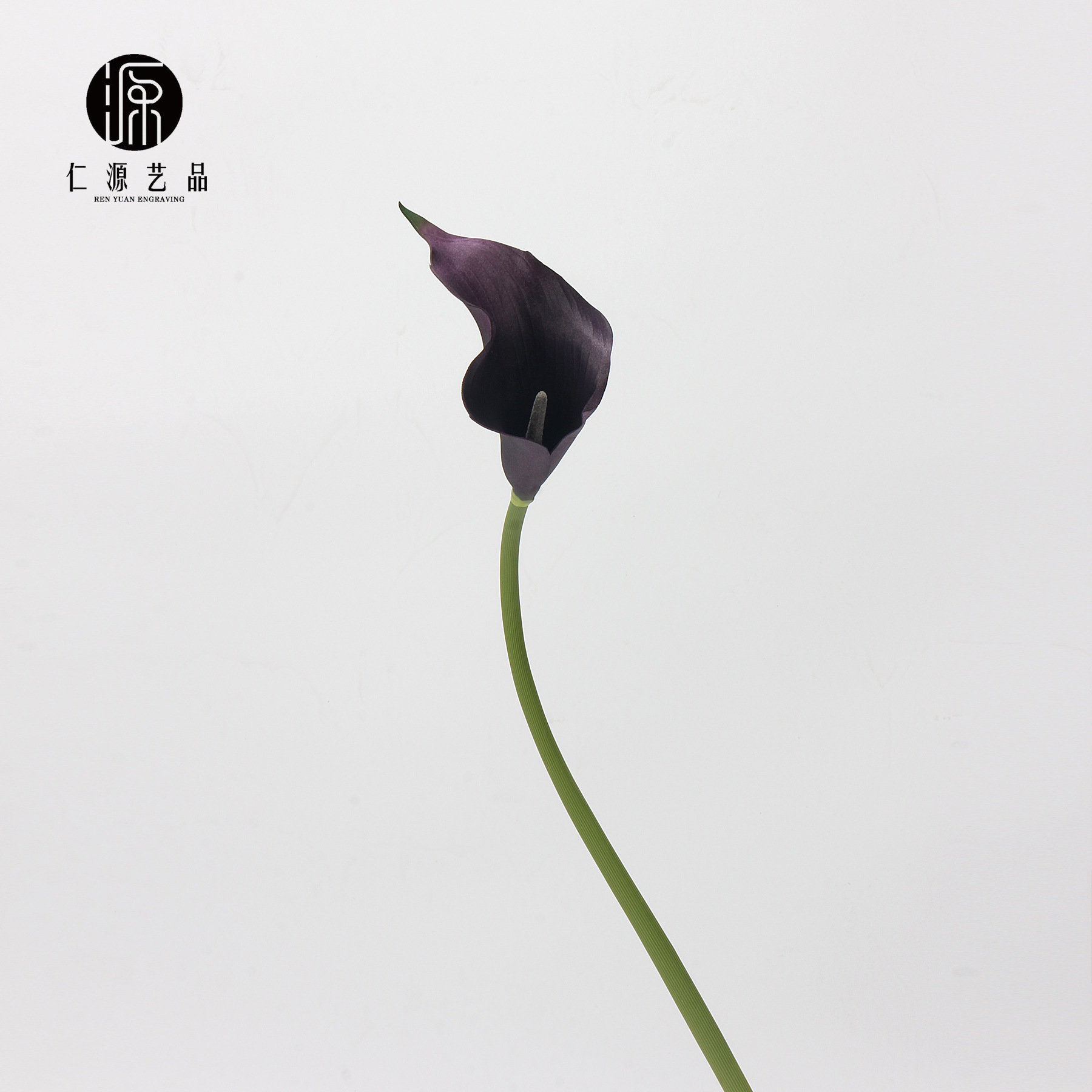 Black and purple small size