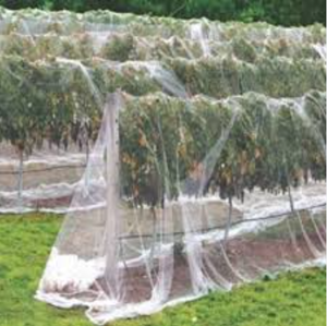 HDPE Вишневый сад, сетка для защиты от птиц, сетка для вредителей для фермы - Product Image 1