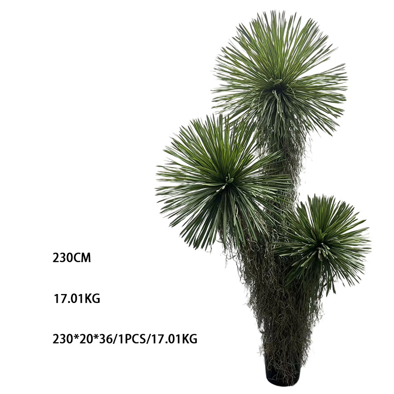 230cm