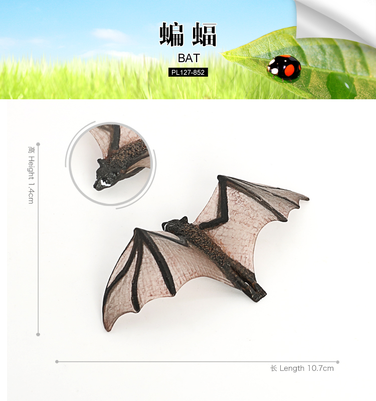 852 chauve-souris