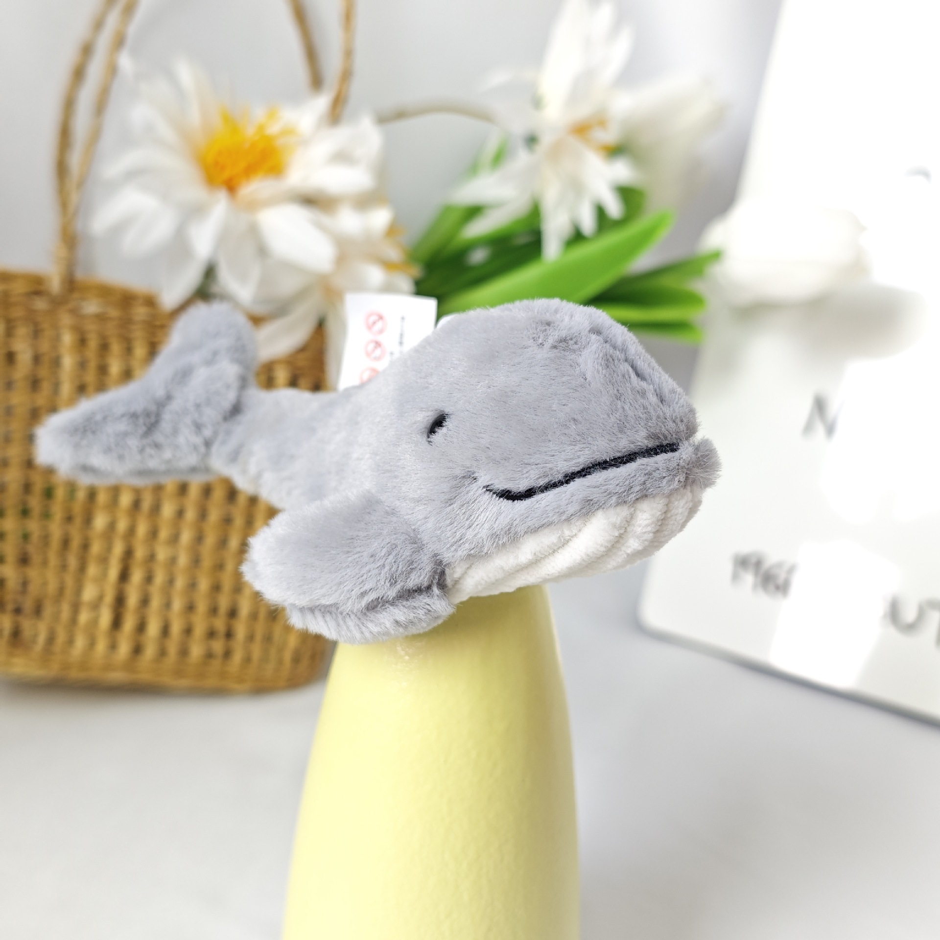 Dauphin gris