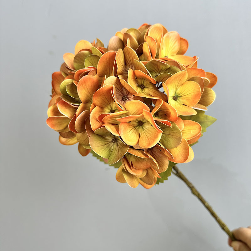 Orange Green #3