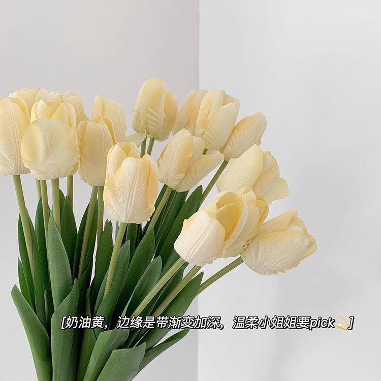 ยาว 47 ซม. สีเหลืองครีม