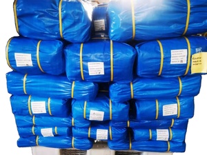 140G Vải Nhựa Màu Xanh Kích Thước Tùy Chỉnh Đảm Bảo Bảo Vệ Tối Ưu Sản Phẩm Nóng Tarpaulin Cuộn Để Bao Gồm Các Công Cụ Nội Thất - Product Image 6