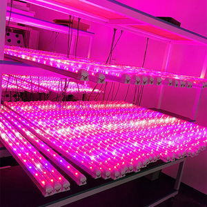 En çok satan 1.2m 0.9m 0.6m 4ft 20W T8 kırmızı mavi oranı veya tam spektrumlu led büyümek tüp lamba bitki fabrika için - Product Image 1